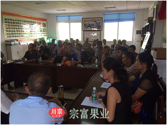 枇杷种植培训会现场