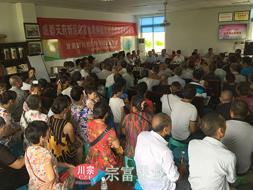 “宗富果业”梨树种植技术培训现场