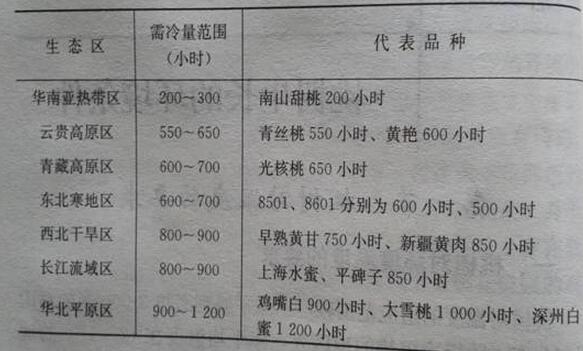 桃苗生长的环境条件